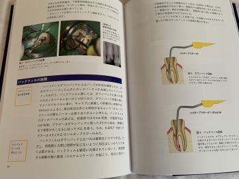 専門書の誌面（オールカラー）
