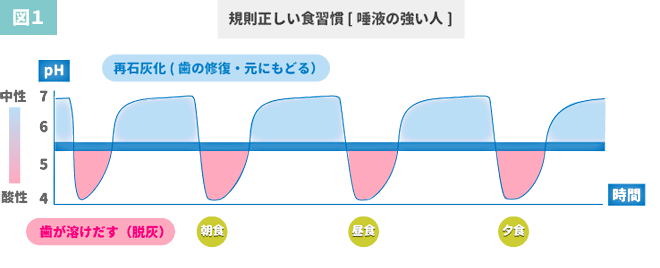 図1 規則正しい食習慣・唾液の強い人のpH推移グラフ。朝食・昼食・夕食後にpHが酸性へ下がるが、唾液の力で速やかに中性へ戻り再石灰化の時間が長い