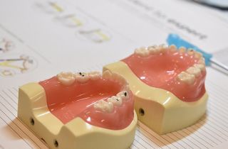 小児用の実習模型。上下の顎の模型が実習台に置かれている